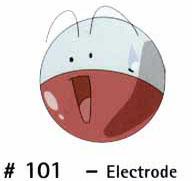 N 101 Electrode